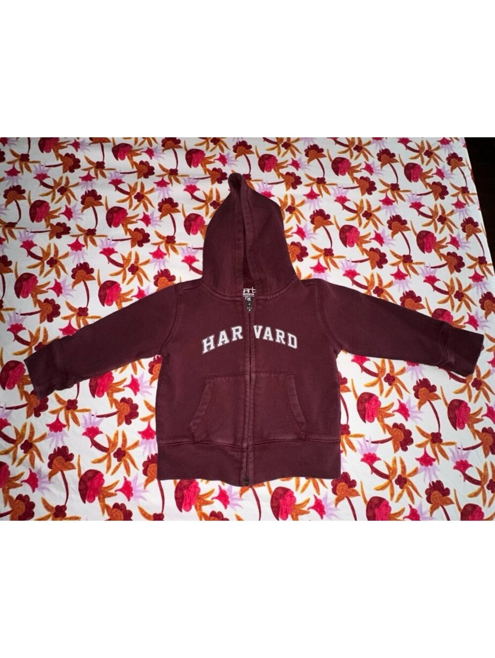 Harvard infant full zip up hoodie